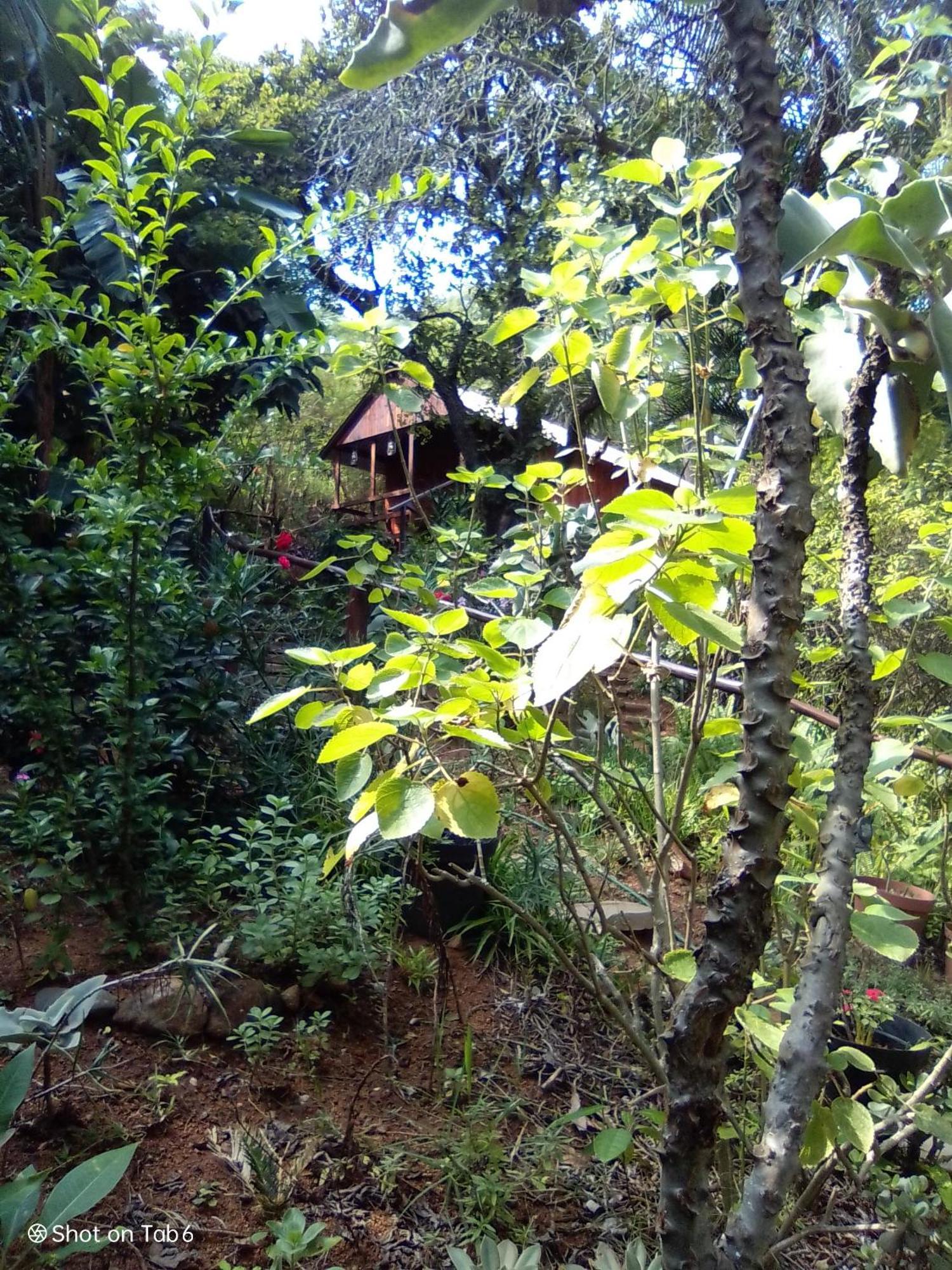 Pumba'S Lookout Vila Barberton Exterior foto