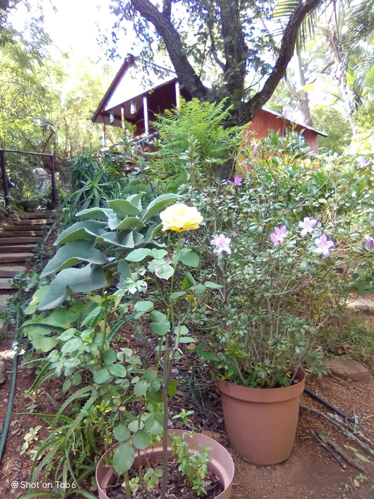 Pumba'S Lookout Vila Barberton Exterior foto